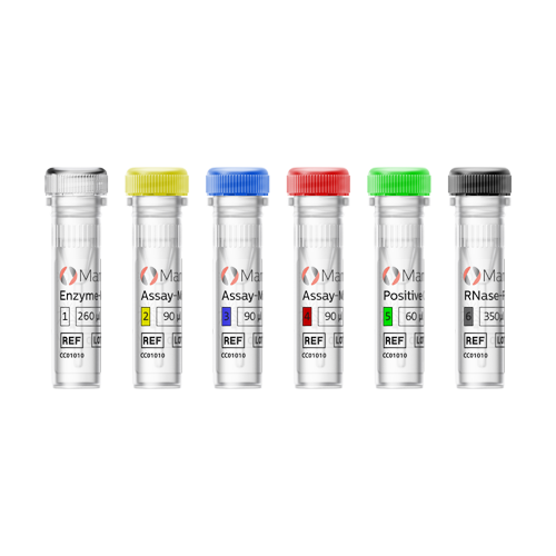 [.FI-fi Finland (finnish)] MammaTyper Vials 
